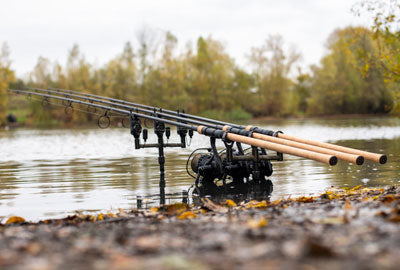 Load image into Gallery viewer, Nash Scope Cork 10ft 3lb Rod
